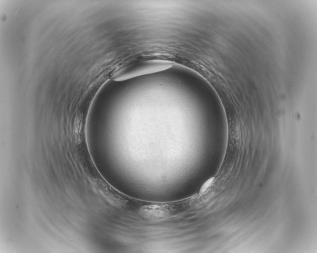 X0000088160082200705151128