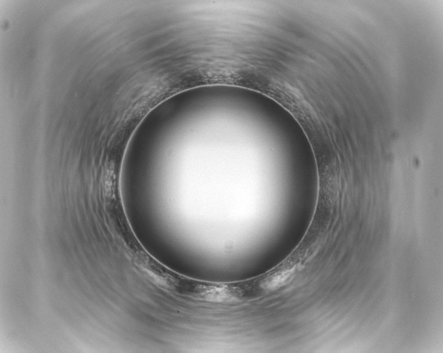 X0000088160083200705151128