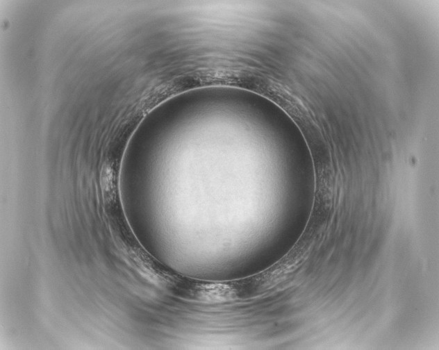 X0000088160087200705151128