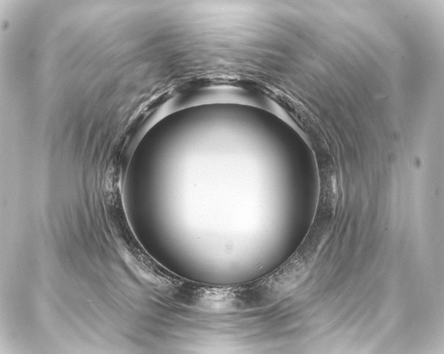 X0000088160088200705151128