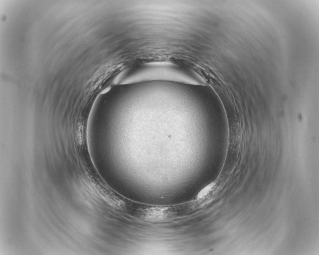 X0000088160090200705151128