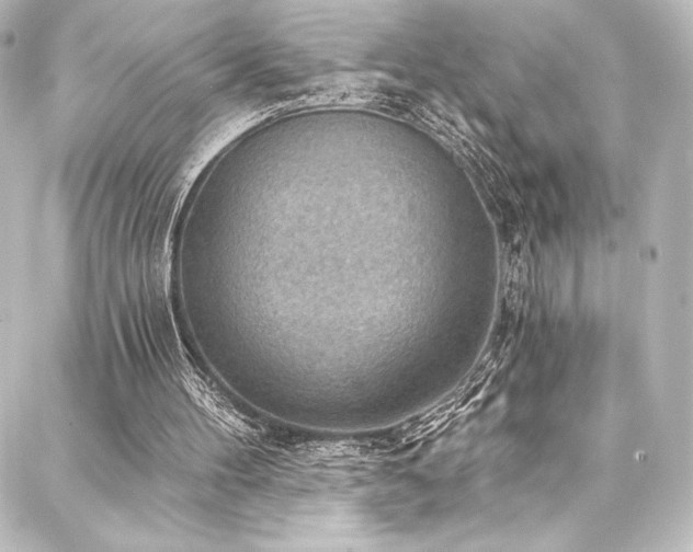 X0000088160100200705151127