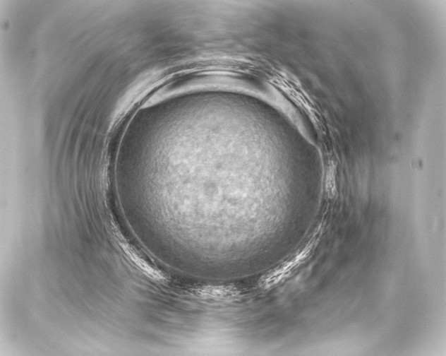 X0000088160101200705151127