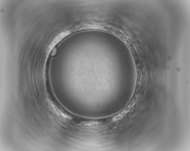 X0000088160104200705151127