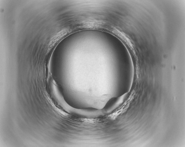 X0000088160105200705151127