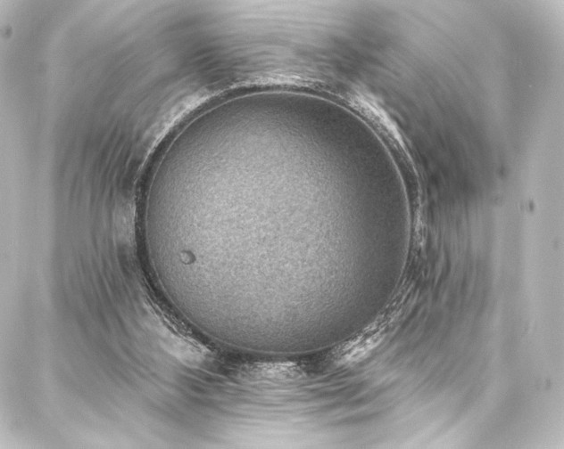 X0000088160108200705151127