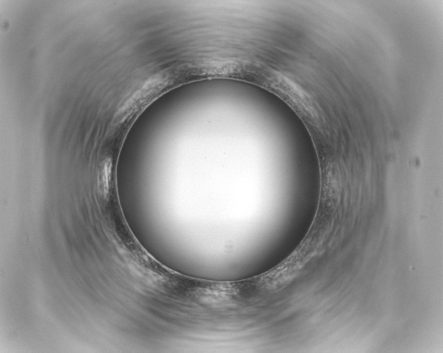 X0000088160118200705151127