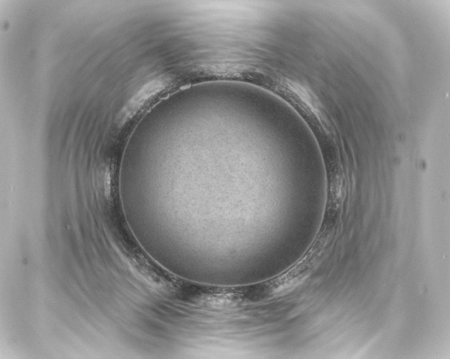 X0000088160120200705151127