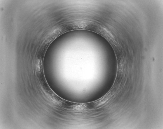 X0000088160122200705151127