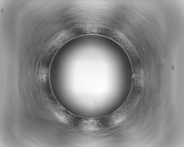 X0000088160125200705151127