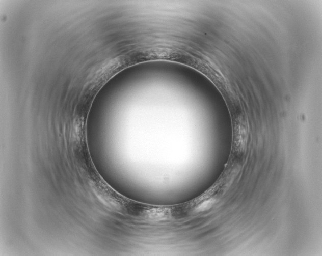X0000088160126200705151127