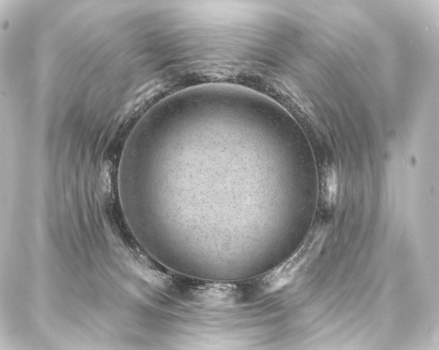 X0000088160128200705151127