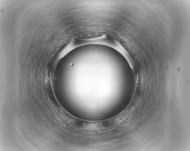 X0000088160129200705151127