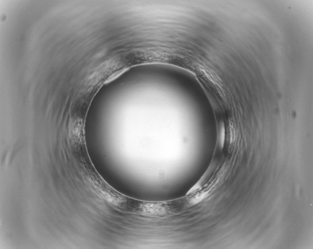 X0000088160141200705151127