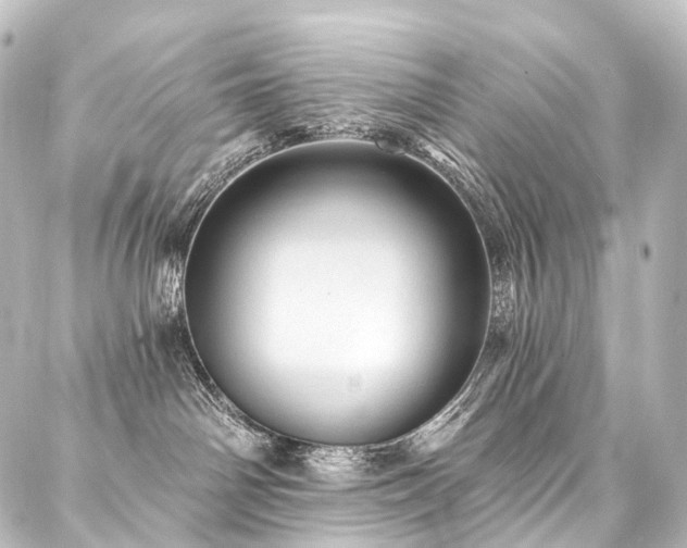 X0000088160142200705151127