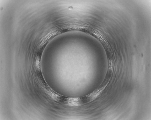X0000088160143200705151127