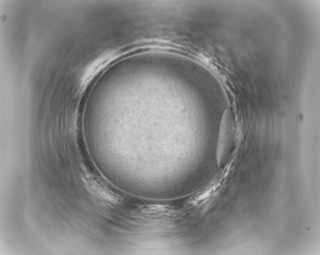 X0000088160151200705151126