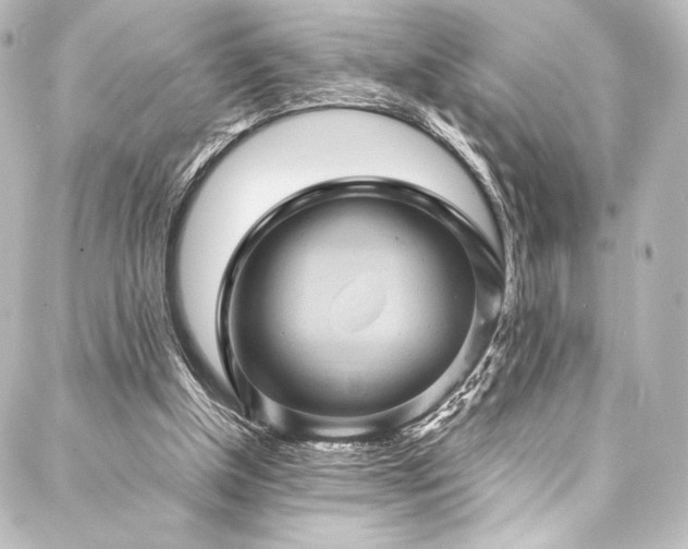 X0000088160154200705151126