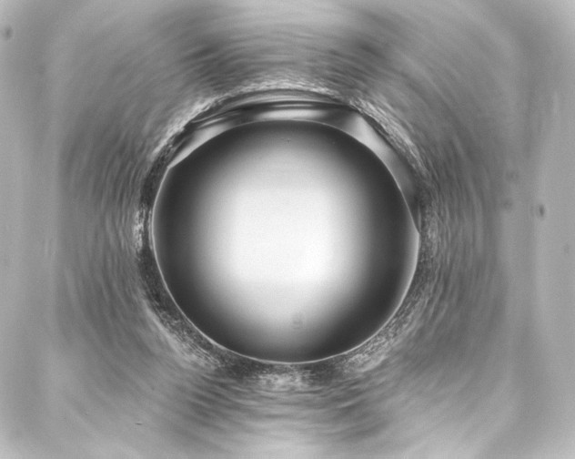 X0000088160160200705151126