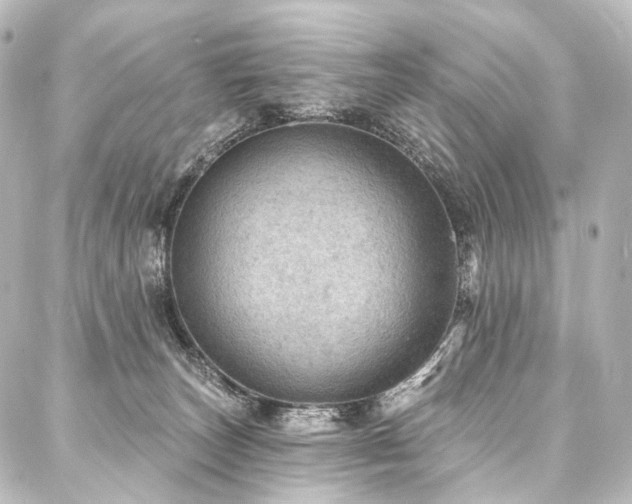 X0000088160179200705151127