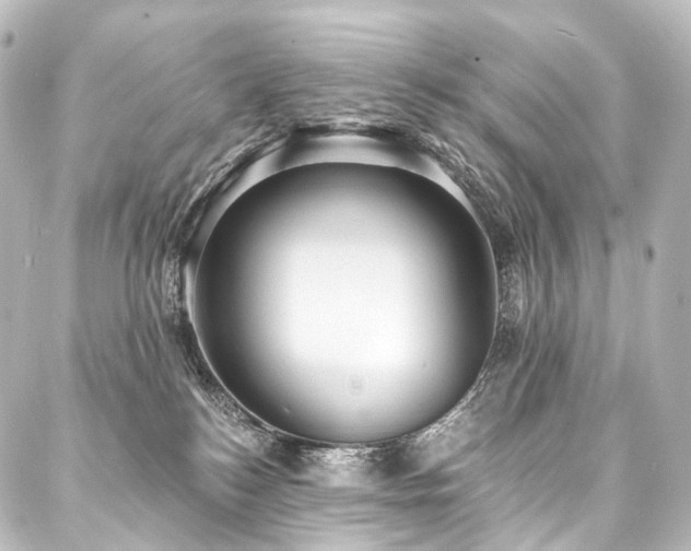 X0000088160184200705151127