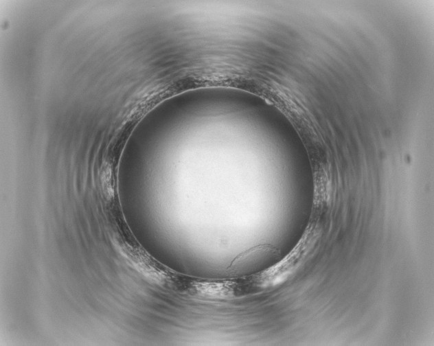 X0000088160187200705151127