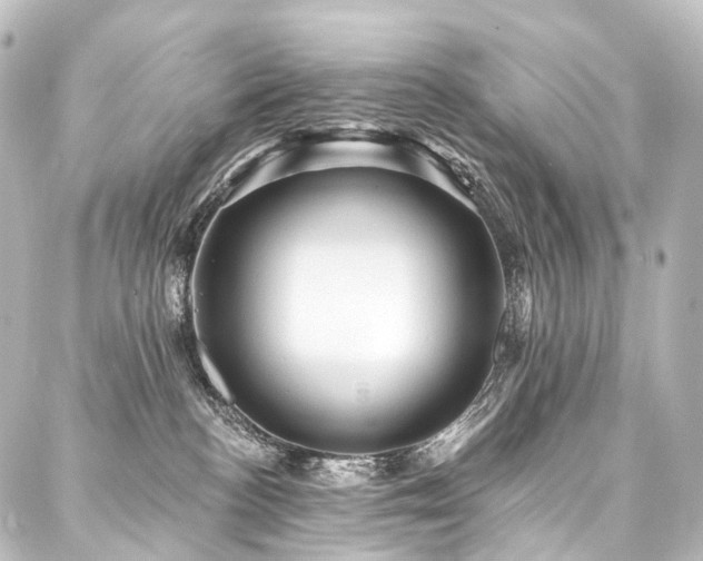 X0000088160188200705151127