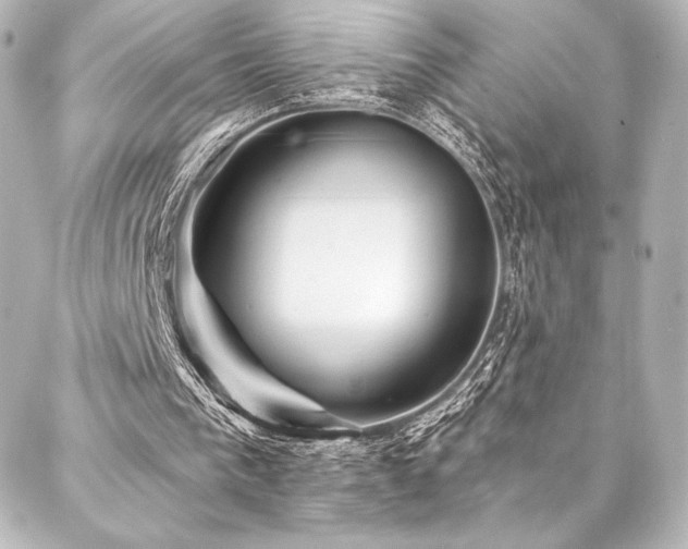 X0000088160193200705151126