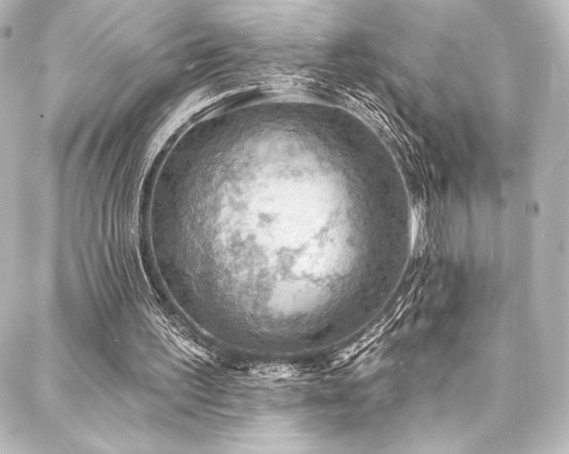 X0000088160195200705151126