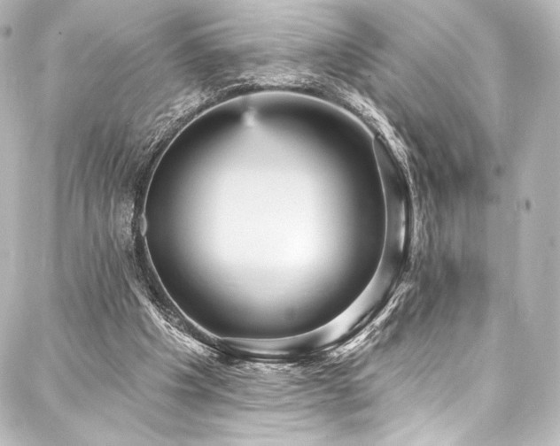 X0000088160201200705151126