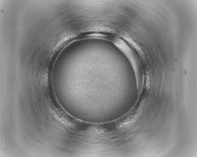 X0000088160207200705151126