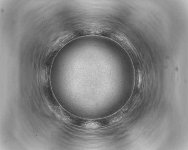 X0000088160218200705151126