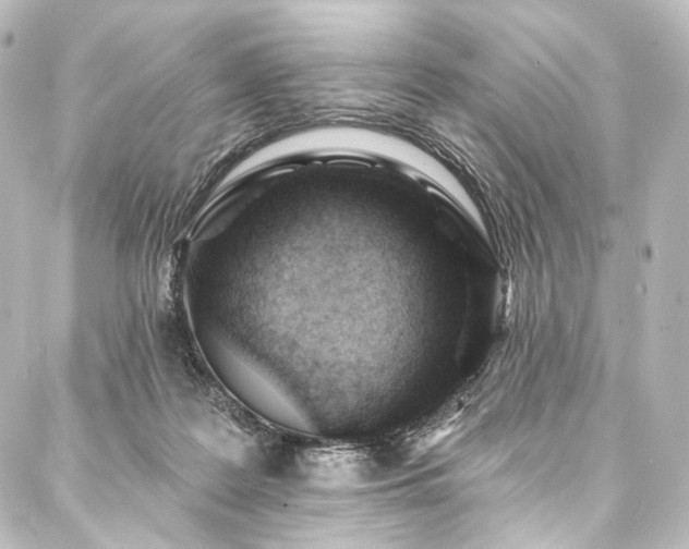 X0000088160219200705151126