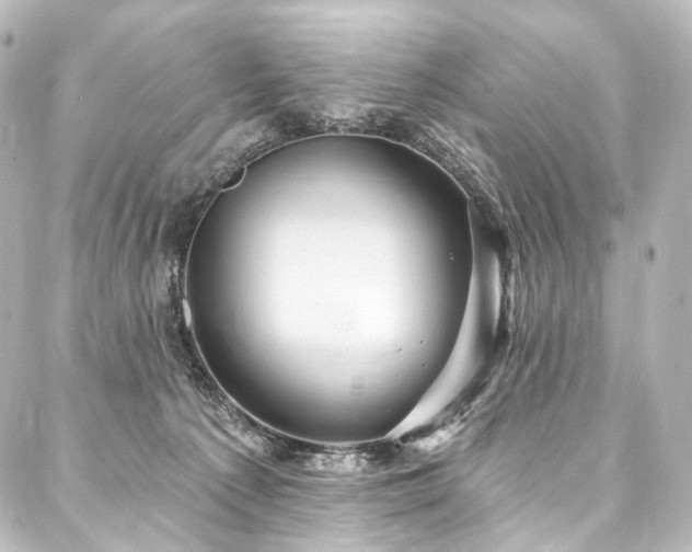 X0000088160225200705151125
