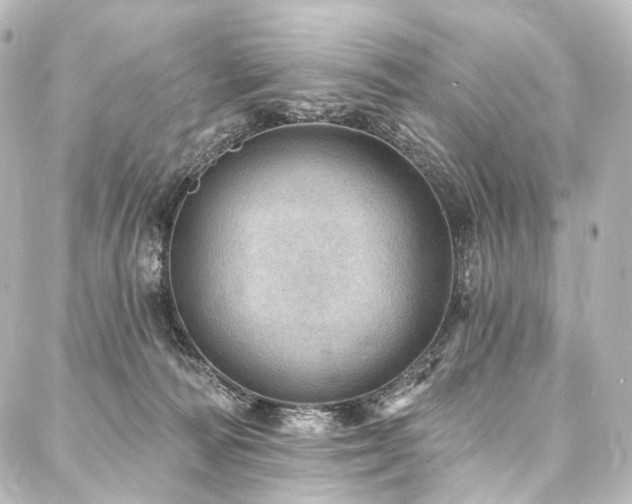 X0000088160226200705151125