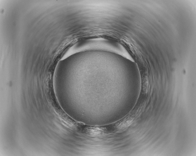 X0000088160229200705151125