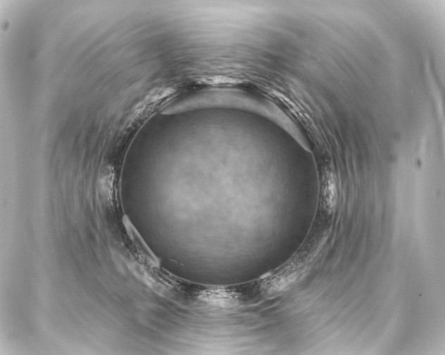 X0000088160231200705151125