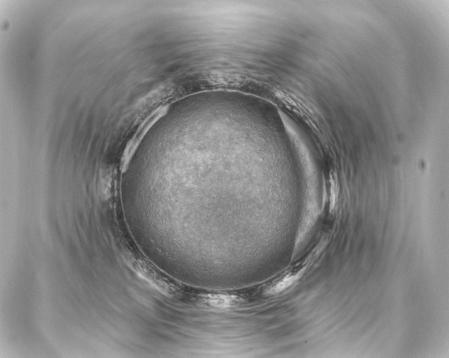 X0000088160233200705151125