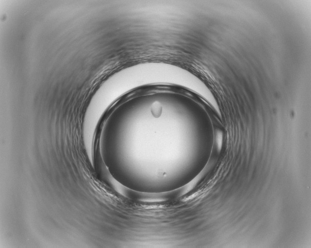 X0000088160237200705151125