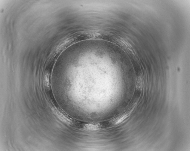 X0000088160238200705151125