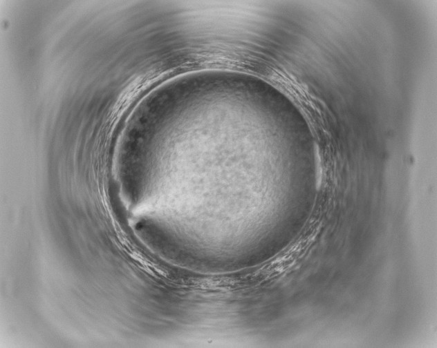 X0000088160241200705151124