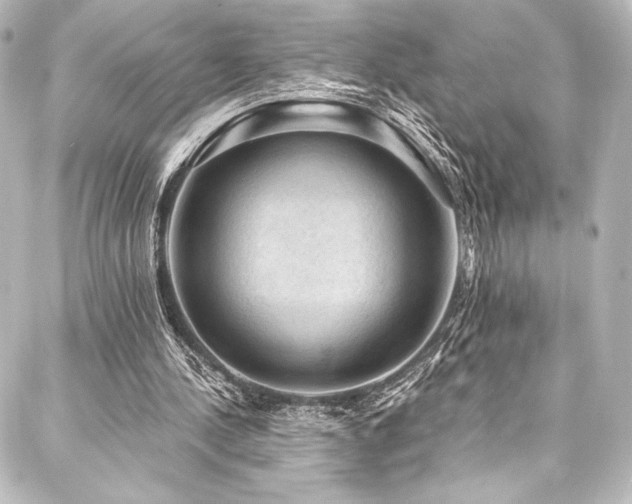 X0000088160244200705151124