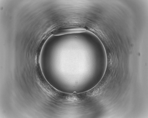 X0000088160262200705151125