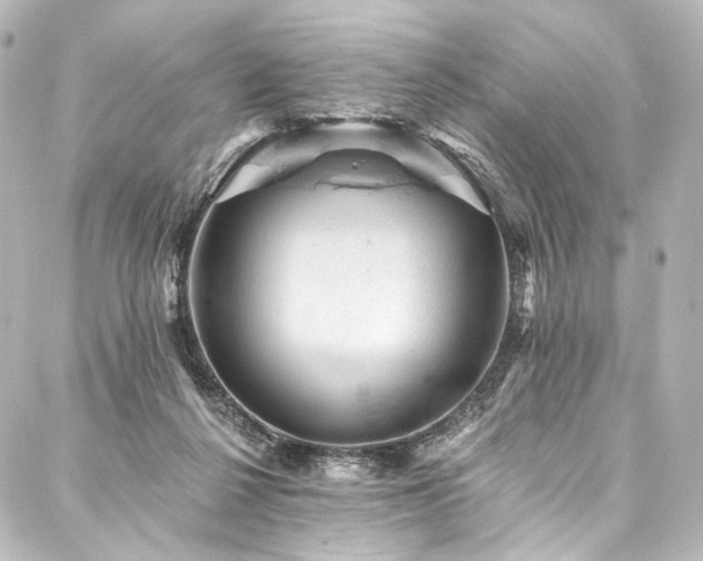 X0000088160264200705151125