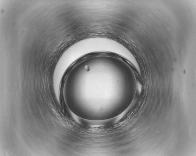X0000088160272200705151125