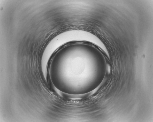 X0000088160276200705151125