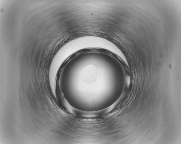 X0000088160280200705151125