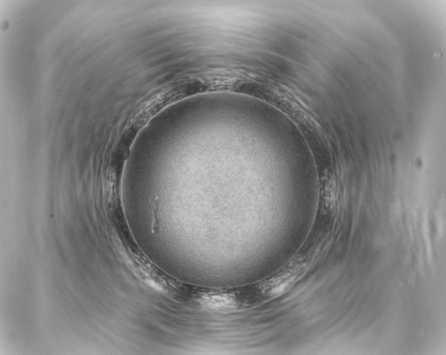 X0000088160283200705151125