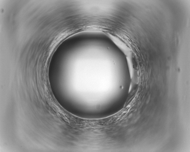 X0000088160289200705151124