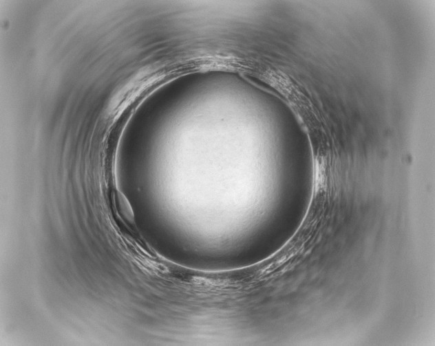 X0000088160291200705151124